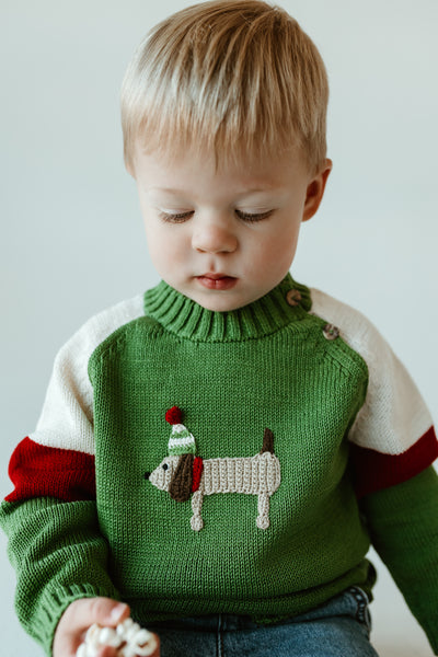 Holiday Dog Sweater