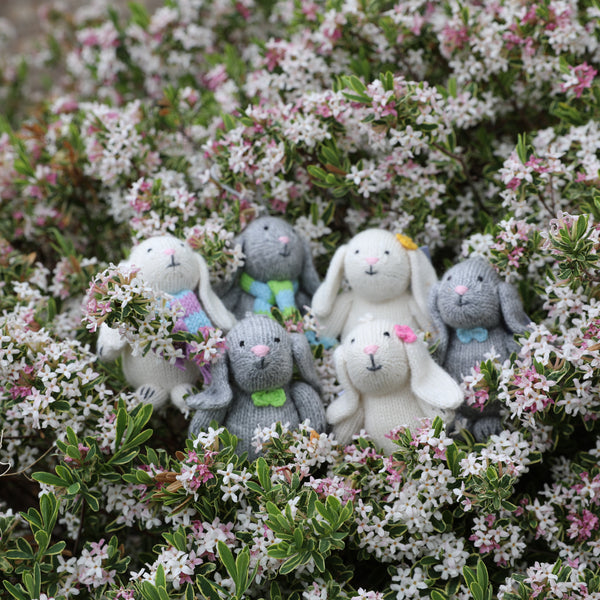 Bunny with Pastel Accessory Ornament- set of 6